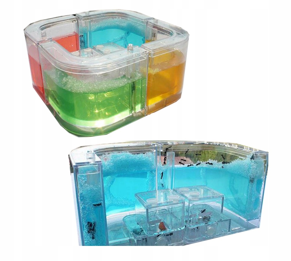 Zabawka Edukacyjna Hodowla Ferma Farma Mrówek Hit 7156140605 Zabawka Edukacyjna Hodowla Ferma Farma Mrówek Hit 7156140605