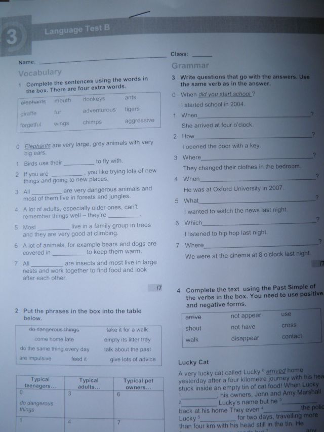 Language Test 2a Unit 2 Odpowiedzi English Class A2.TESTY,SKILLSY,odpowiedzi! - 7121703644 - oficjalne