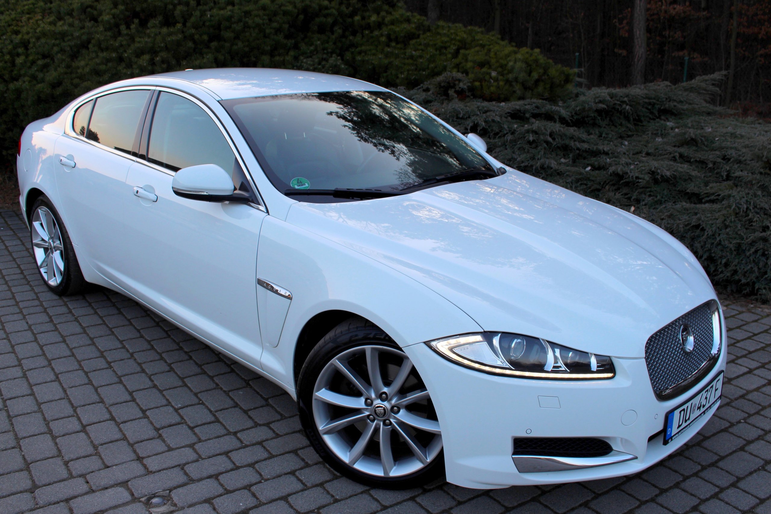 jaguar xf 2008