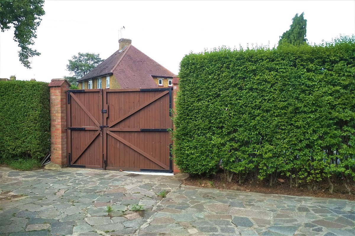 hedge 2