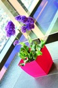 фото mini №3, Square flowerpot з stand 12xh11cm casing