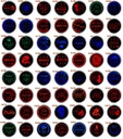 Освещенный ручка передач кожа led audi vw bmw seat mercedes8, купить запчасти