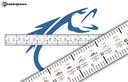 фото mini №1, Dipstick measure for fish graphic on boat-great