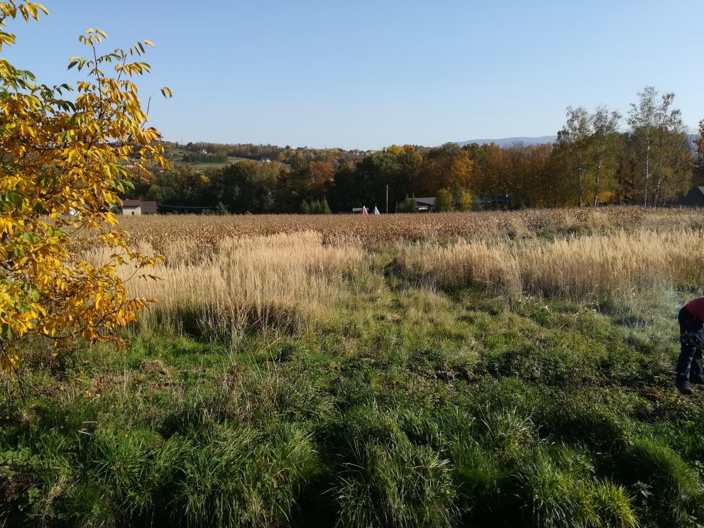 Działka Bielowicko Polecam !! 3200 m2
