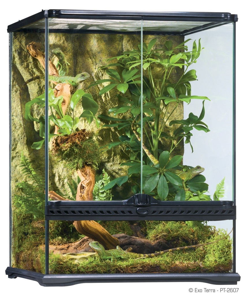 EXO TERRA TERRARIUM 45X45X60CM RZEKOTKA GEKON _HIT