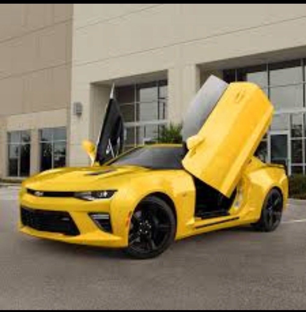 Zawiasy L+P Lambo Doors model nie znany