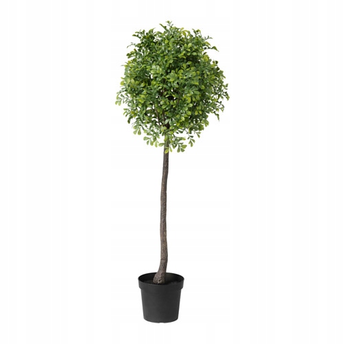IKEA FEJKA SZTUCZNA ROŚLINA W DONICZCE NA PNIU
