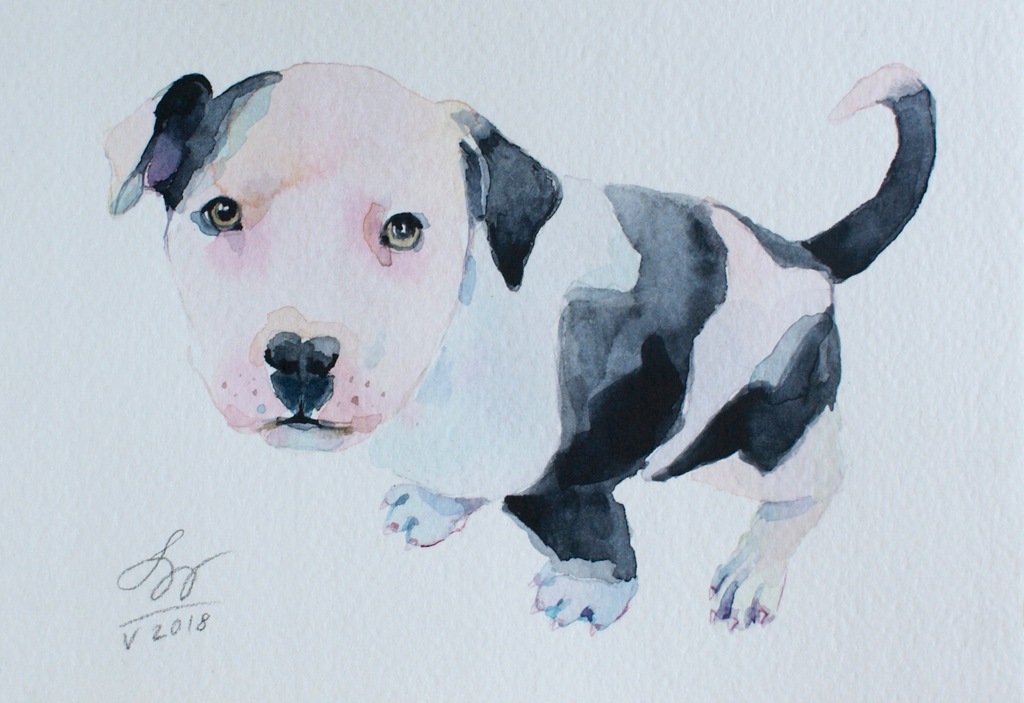AMSTAFF piesek SZCZENIAK akwarela 18x12