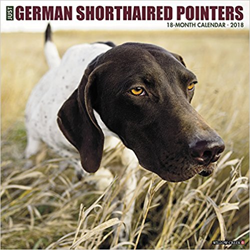Kalendarz Wyżły Niemieckie German Pointer 2018 PSY
