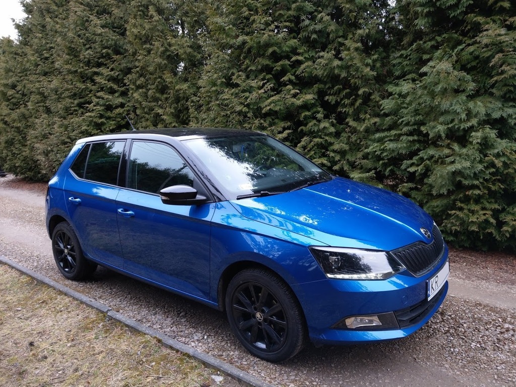 Race blue skoda