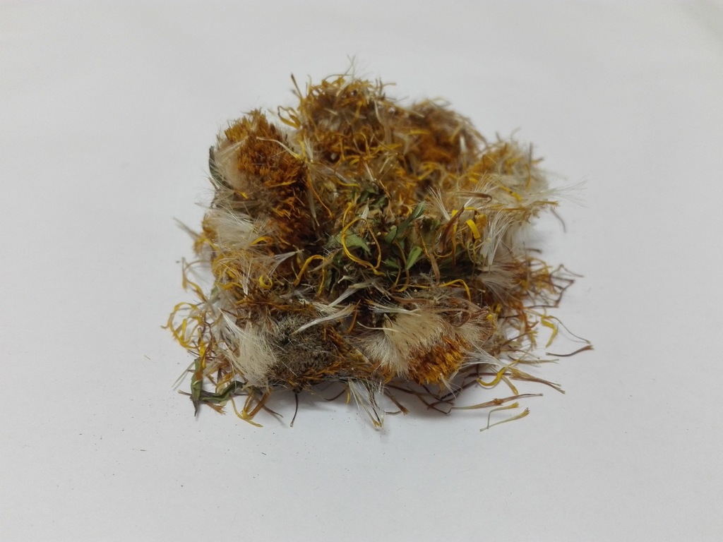Arnika górska kwiat arniki - 500g - Dary Podlasia