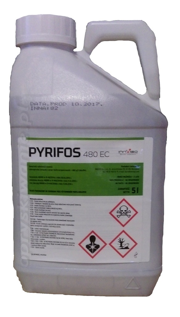 Pyrifos 5l, drutowiec pędraki jak dursban