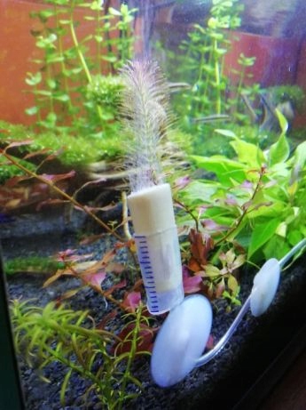 Dyfuzor CO2 z lipy 50/100 ml Najtaniej