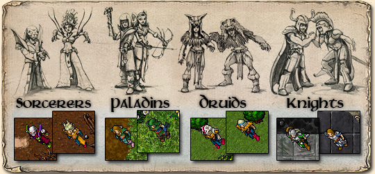 Tibia Postacie 50-99 LVL Losowe Konta bez R Keya