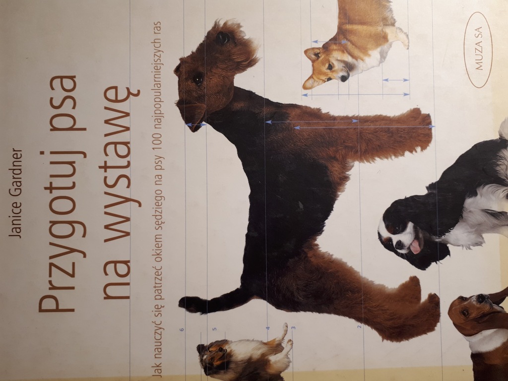 PRZYGOTUJ PSA NA WYSTAWĘ GARDNER
