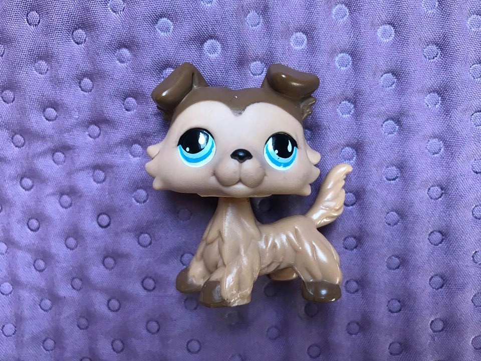 LPS littlest pet shop piesek BORDER COLLIE 893 7565615452 oficjalne archiwum Allegro