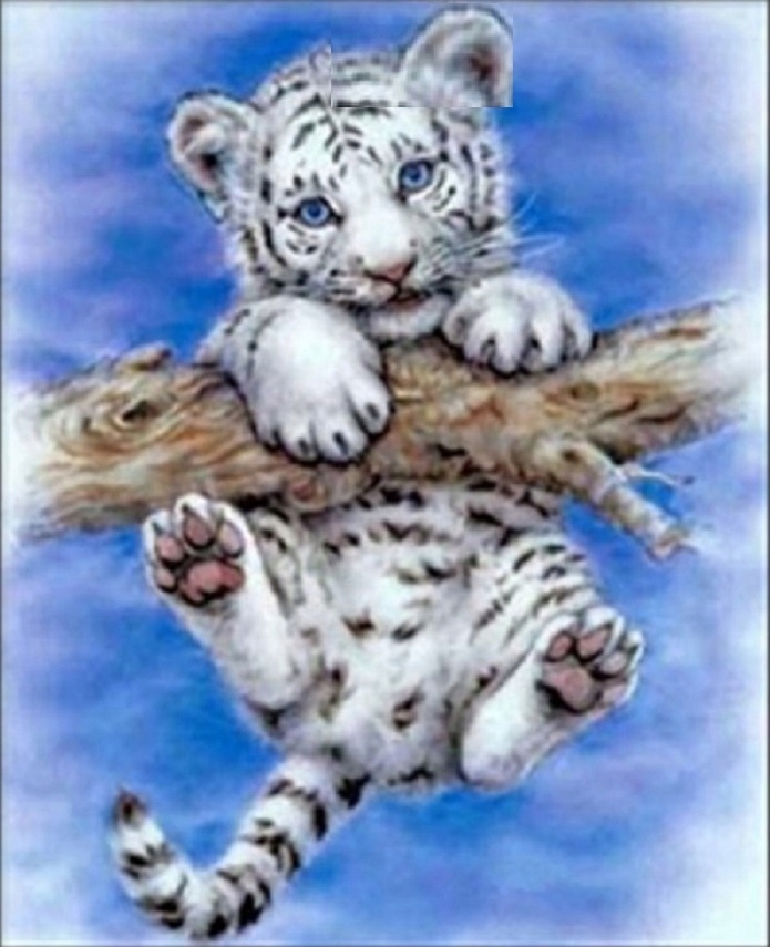 Obraz 5D kot tygrys prezent haft wyklejany puzzle