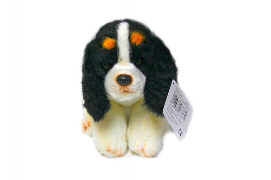 MASKOTKA SPANIEL ŁACIATY PIES PLUSZOWY 21cm ROXI