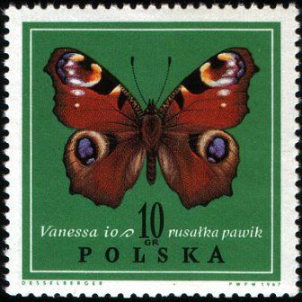Zestaw 1967 - motyle - znaczki  (8)