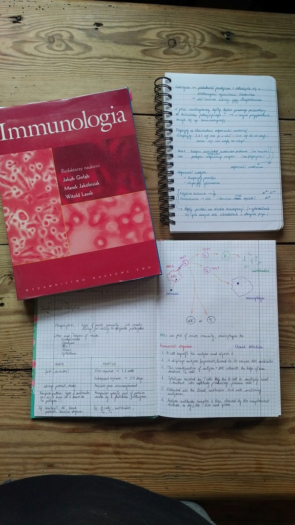 Immunologia PWN - Gołąb,Jakóbisiak,Lasek + notatki