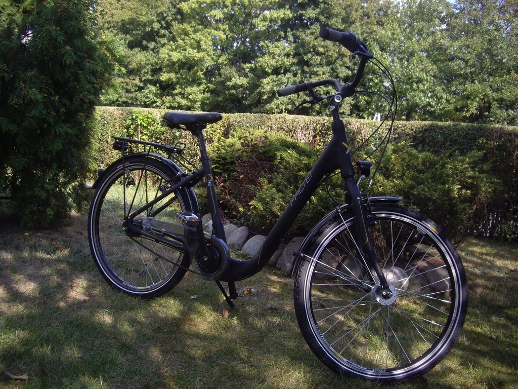 Rower Damski "FALTER" CITY Series 3,0 !! 7566475806 oficjalne