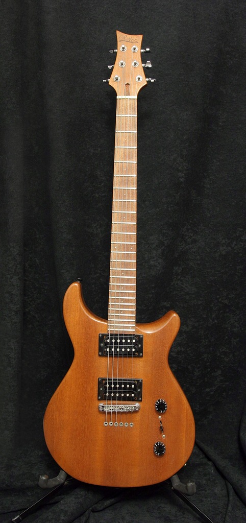 Roter Gitara Elektryczna
