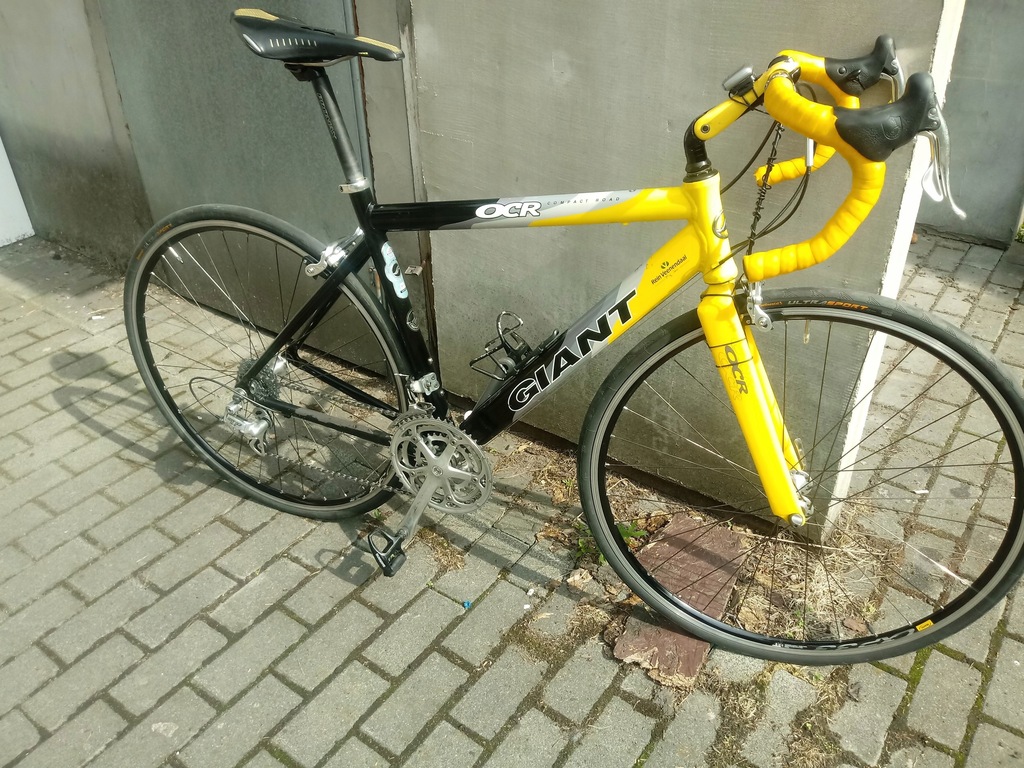 giant campagnolo