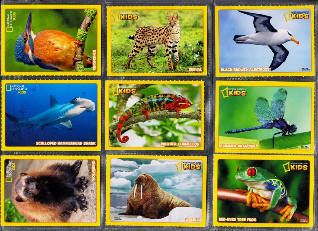 National Geographic KIDS TRADING CARDS 63 szt.
