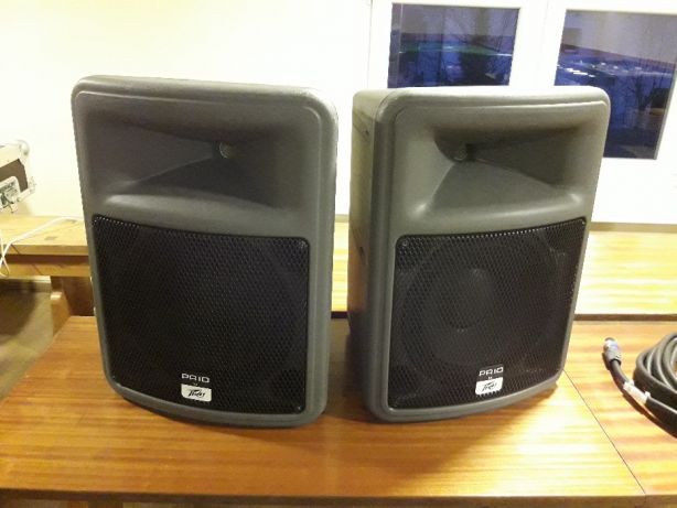 Kolumny Peavey PR 10 - DWUPAK