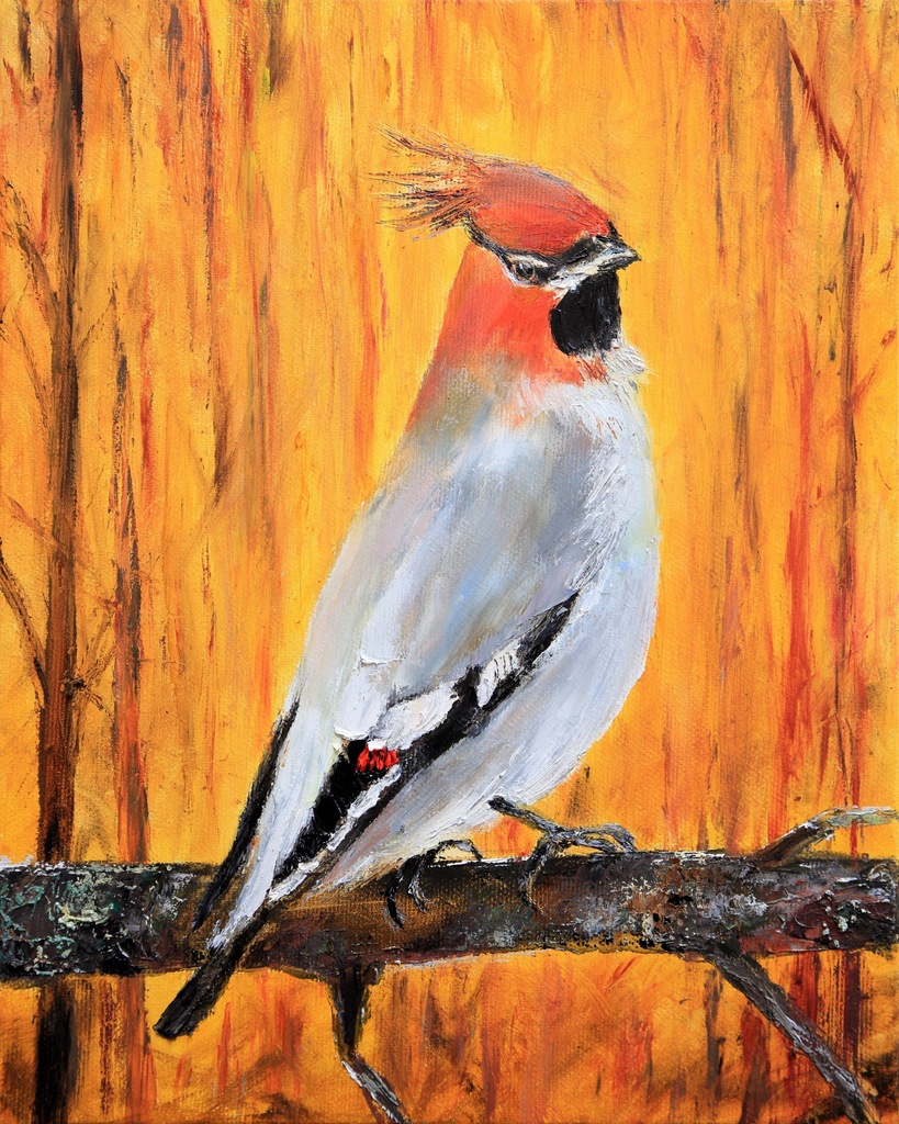 JEMIOŁUSZKA - PTAKI POLSKIE obraz olejny 30x24cm