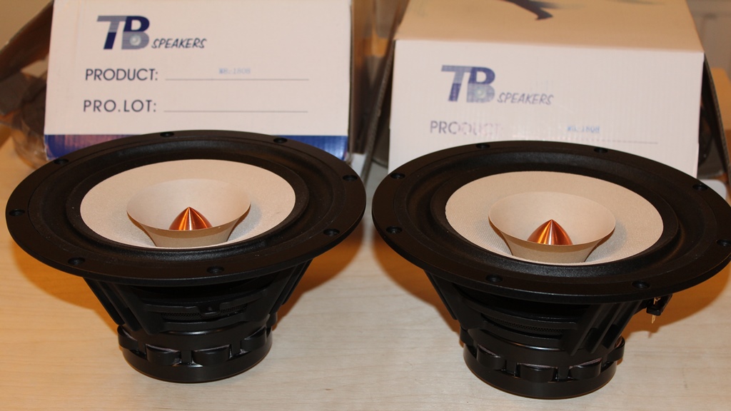 TANG BAND (8") W8-1808 - 1 PARA (2 szt)