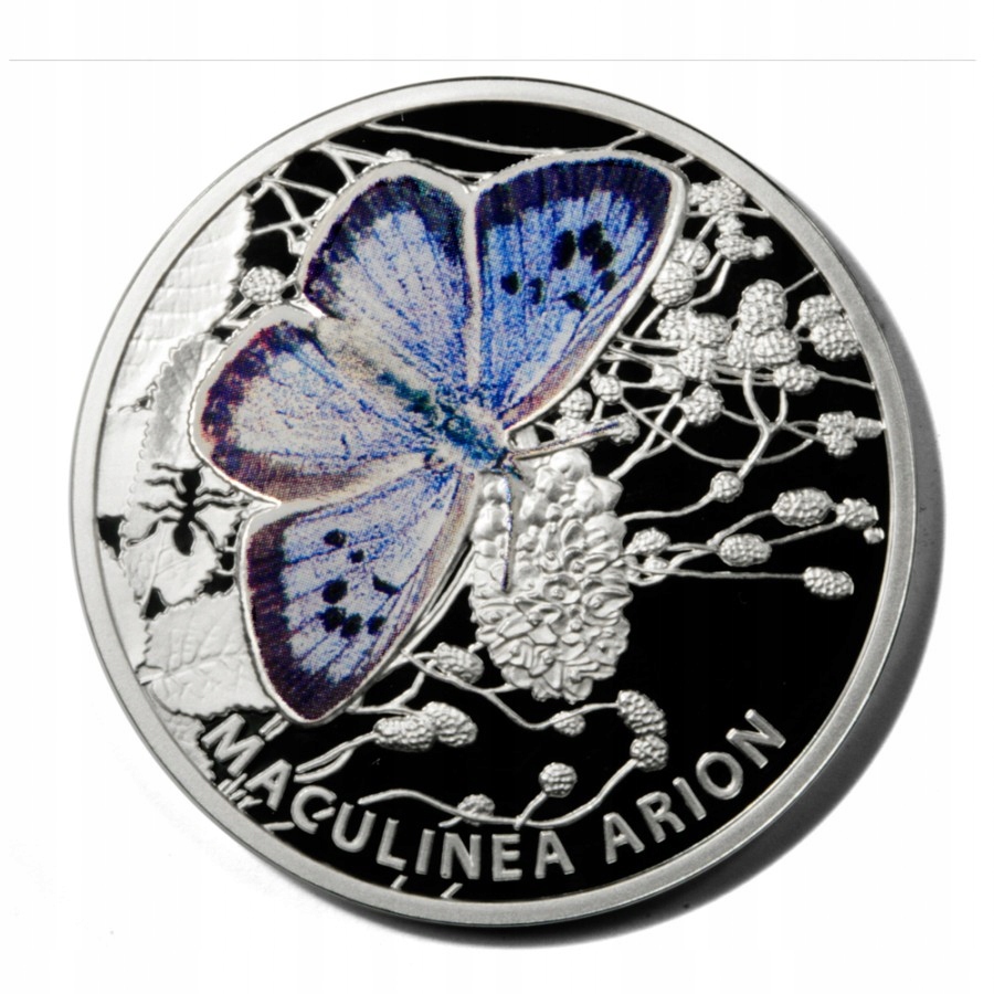 MODRASZEK ARION MOTYL 1 DOLAR OKAZJA