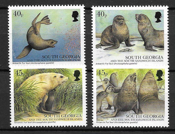 SG&SSI 353-56 - kotik antarktyczny
