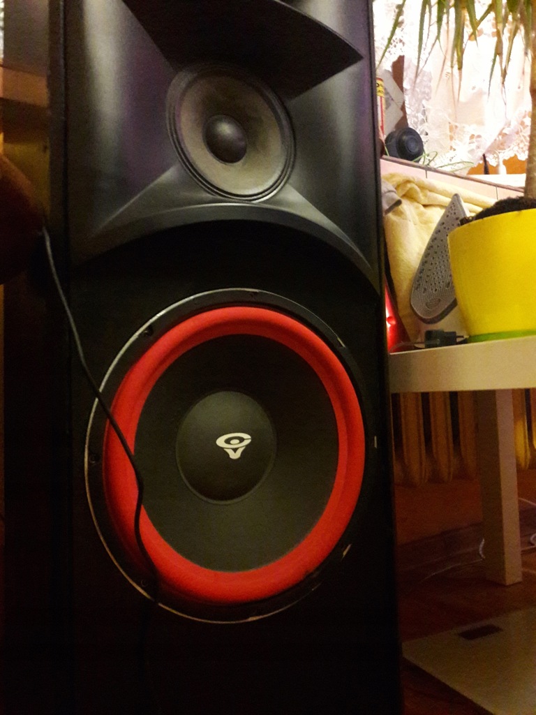 Cerwin Vega CLSC-12