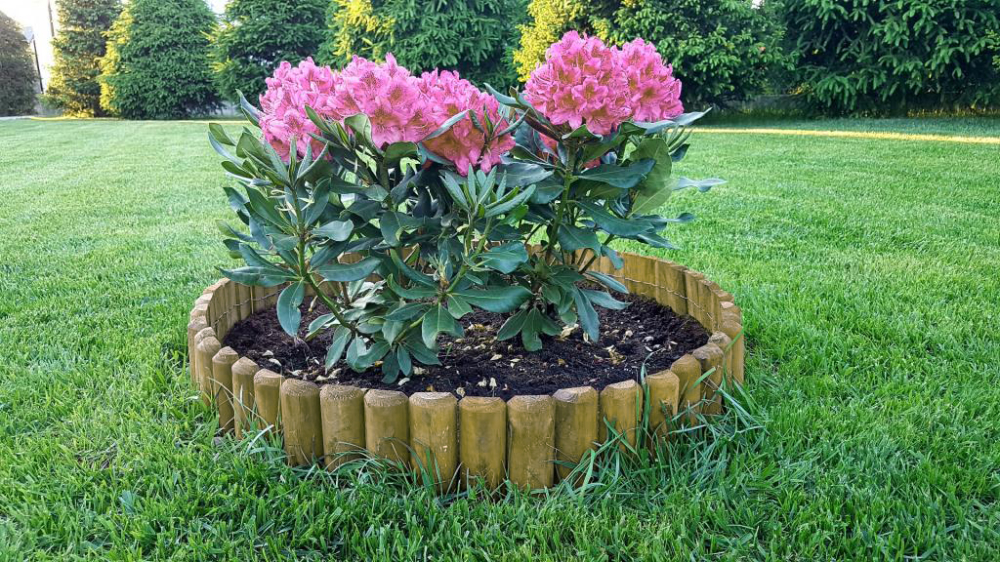 Rollborder drewniany z fazą 250x20 60 palisada