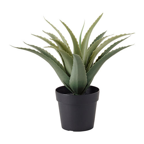 IKEA FEJKA - sztuczna roślina doniczkowa sukulent