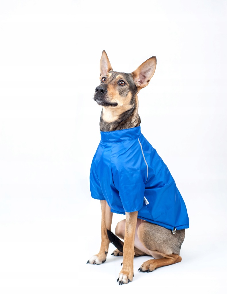 Taily|Kurtka dla psa deszczowa niebieska 4XL-7XL