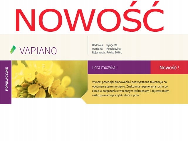 Rzepak ozimy SY VAPIANO 1,5mln - nasiona rzepaku