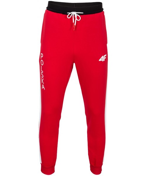 4F SPODNIE DRESOWE KOLEKCJA OLIMPIJSKA RIO 2016 M