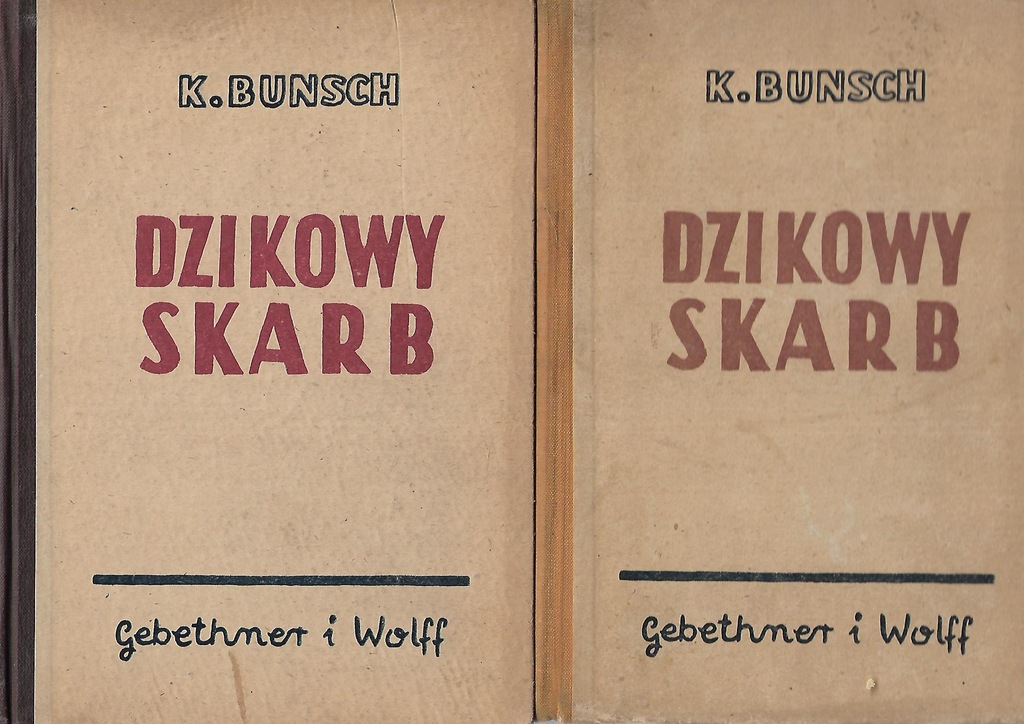 ! DZIKOWY SKARB Bunsch tom 1-2
