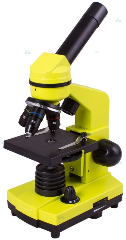 Mikroskop Levenhuk Rainbow 2L LimeLimonowy #M1