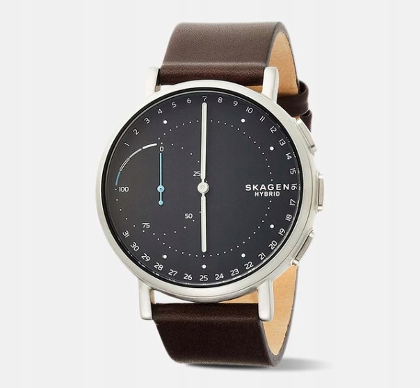 Skagen skt1111 hot sale