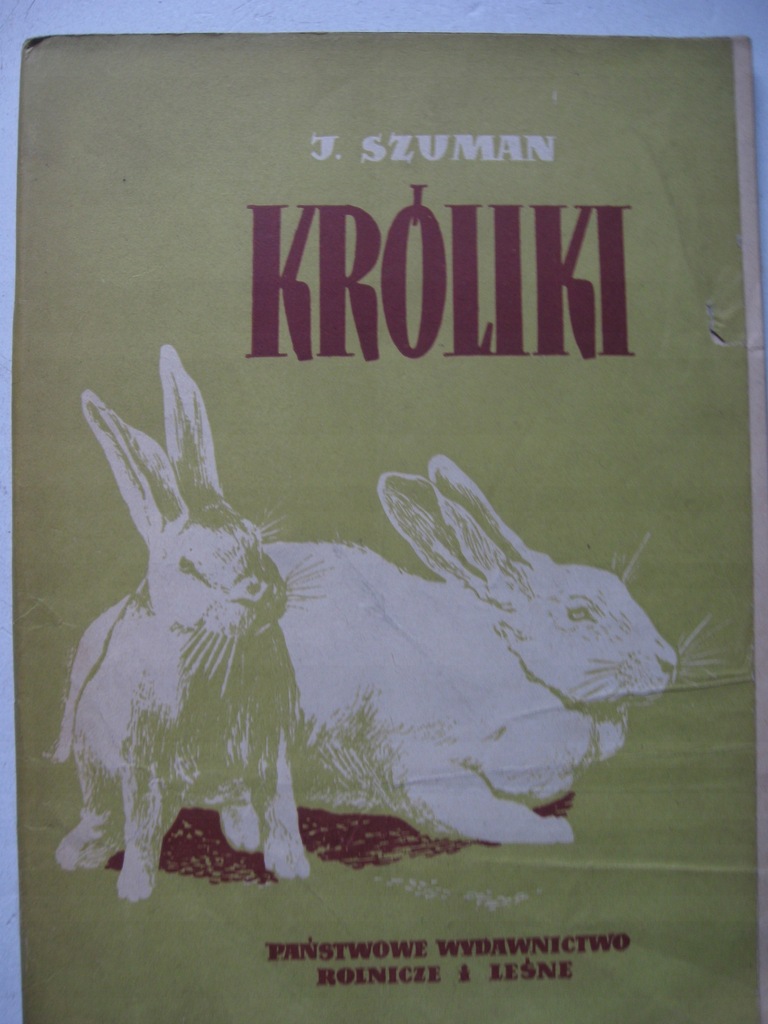 KRÓLIKI Rasy Hodowla SZUMAN