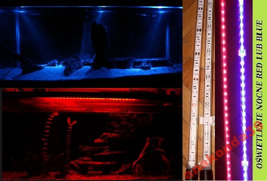 OSWIETLENIE AKWARIUM LED 70 CM NOCNE KOLORY