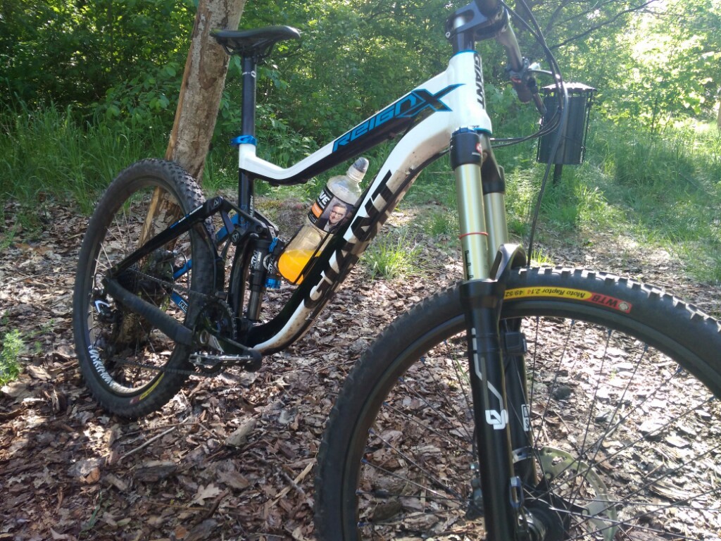 giant reign 2013