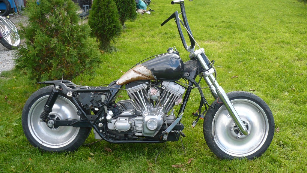 electra bagger