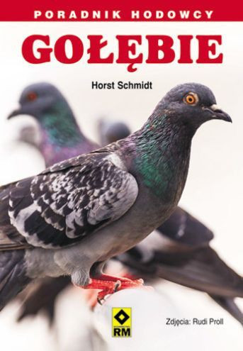 Gołębie poradnik hodowcy dobrego pocztowe gołąb B