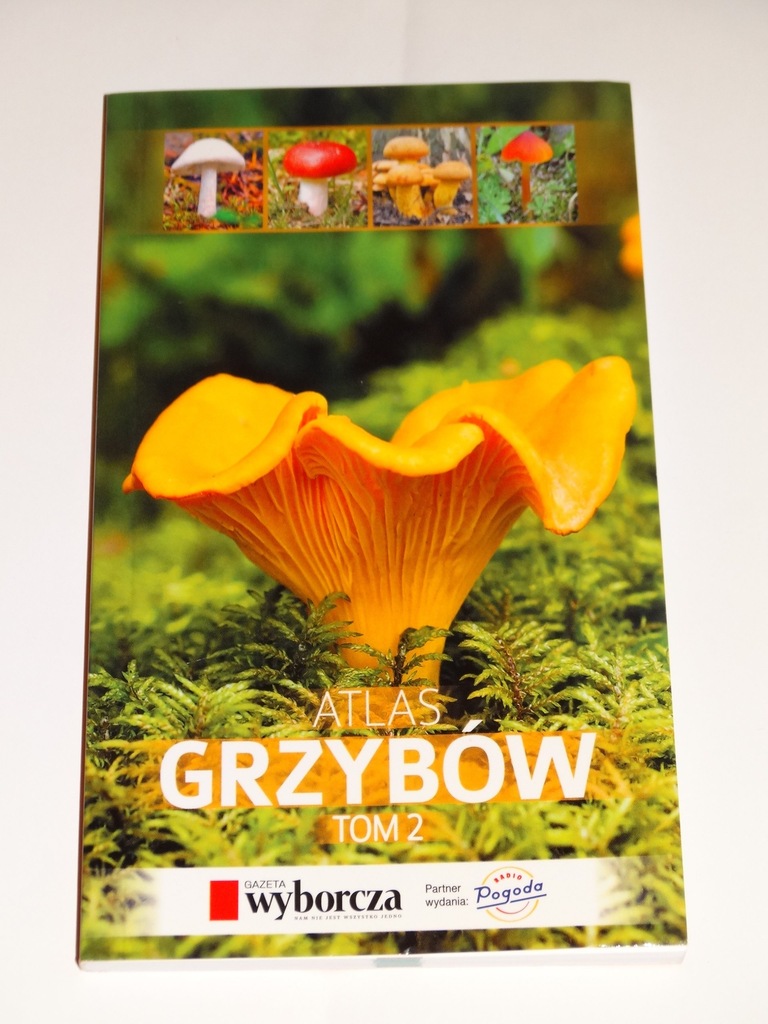ATLAS GRZYBÓW: grzyby blaszkowate