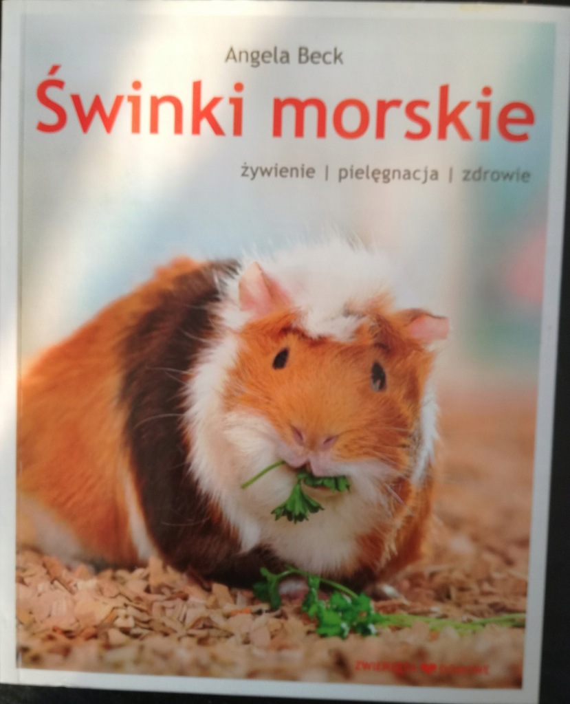 Świnki morskie BECK Angela żywienie pielęgnacja