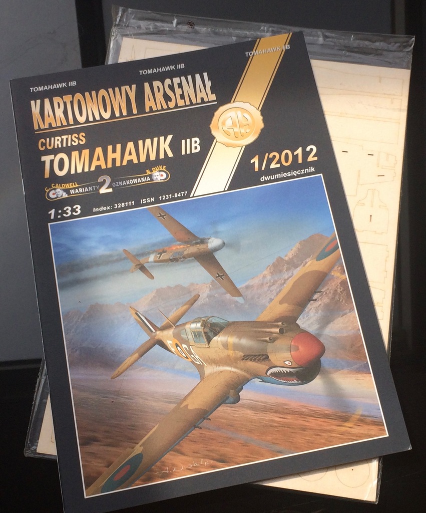 Haliński - Curtiss P-40B Tomahawk + wręgi